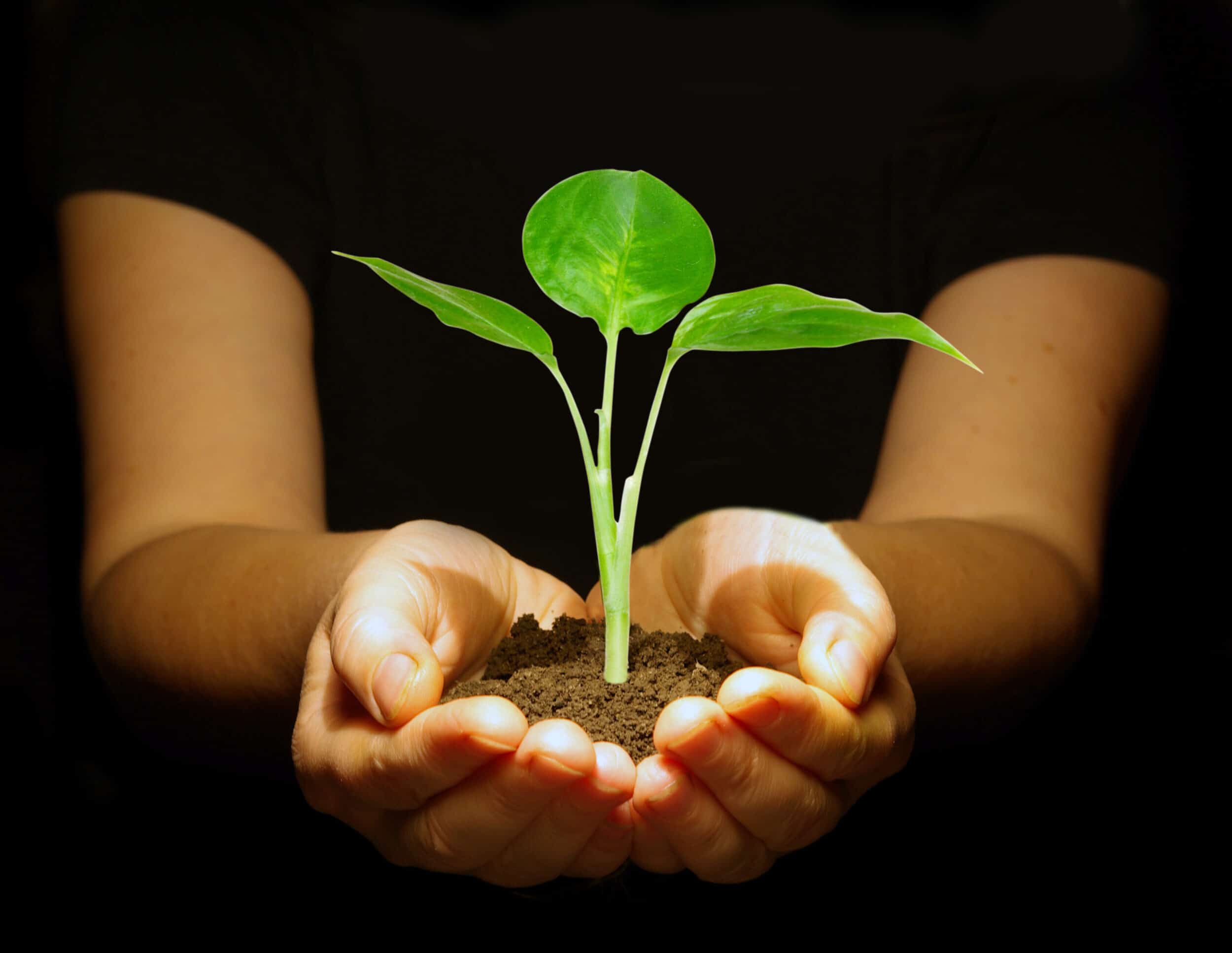 Breaking Through COVID-19: Overcoming the Virus and (Re)Building a Thriving Business