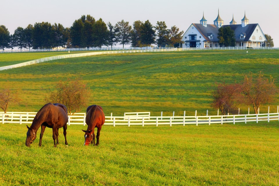 Conservation Easements: Charitable Donation or Tax Shelter?